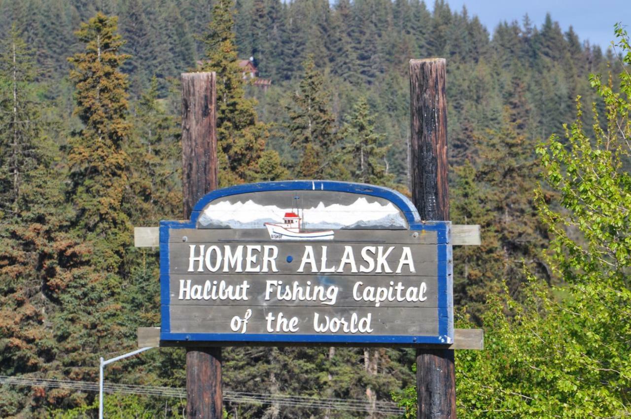 Homerhome Стая снимка